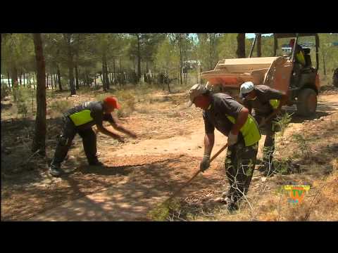 18/06/14 – El Taller de Empleo comienza la segunda fase del Parque Natural y de Ocio de l’Alberca