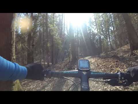 Заезд на Bianchi Methanol SX