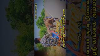 Download lagu TVL NEW ENTRY 😈RAMBO😈 #horse #racehorse #chanel  #reels  #horselover #horseracing #horseriding mp3 Download lagu TVL NEW ENTRY 😈RAMBO😈 #horse #racehorse #chanel  #reels  #horselover #horseracing #horseriding mp3