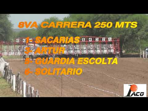 GUARDIA ESCOLTA HIPODROMO PANGARE 20 02 2022