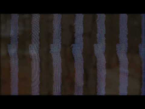 Maybe I'm Down (2022) • Bob Hate 