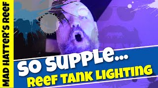 The Most Supple Reef Tank Lighting