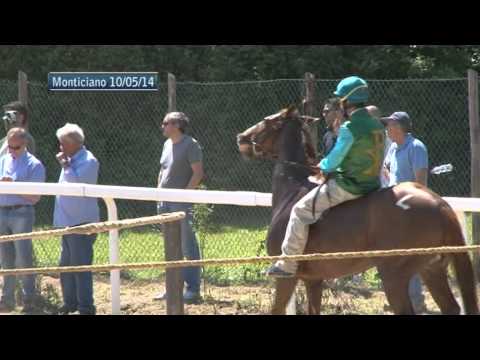 Corse di addestramento Monticiano 10 maggio seconda parte