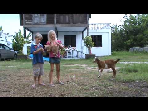 Video cumple zully de Bas y Laura