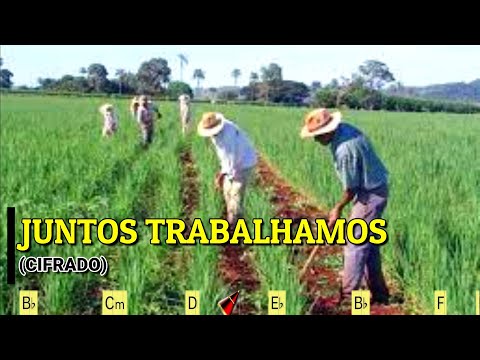 Juntos Trabalhamos – 602