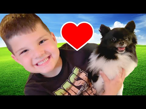 PLAYING with NEW PUPPY DOG!! Caleb LEARNS to TAKE CARE of GRANDMA's New PET DOG!