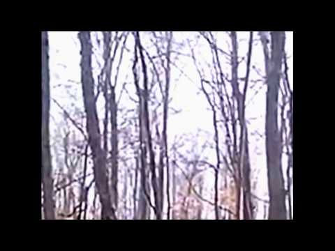youtube embeded image