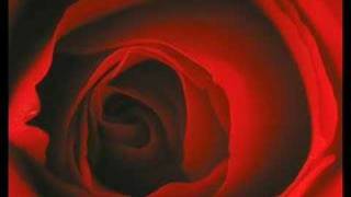 Something About You - lucie silvas