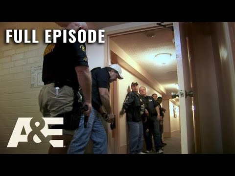 Manhunter Episodes