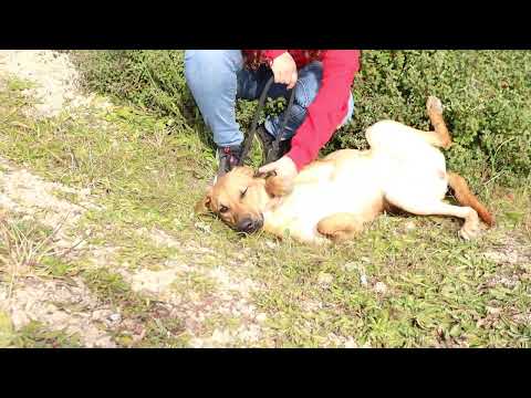 Vídeo de JENNY