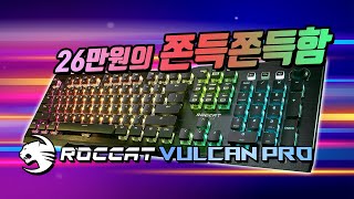 퀘이사존