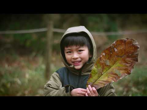 Family Fun in Fuji-Hakone-Izu National Park, Japan- See you at Mount Fuji!