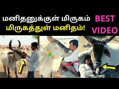 The Best Youtube Video Of This Year 2020 | TAMIL ASURAN