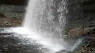 preview picture of video 'Salmon leaping at Bridal Veil Falls'