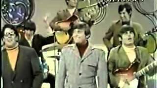 The Turtles - Can i get to know you better