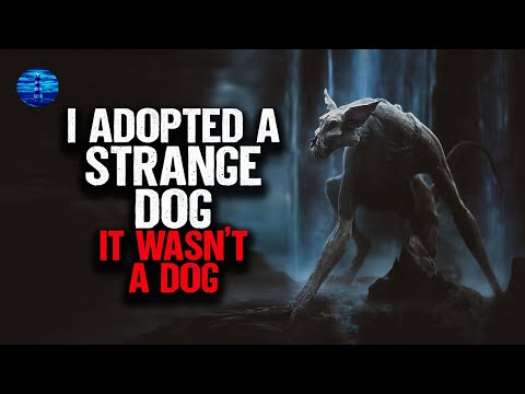 I adopted a STRANGE dog. It wasn't a dog