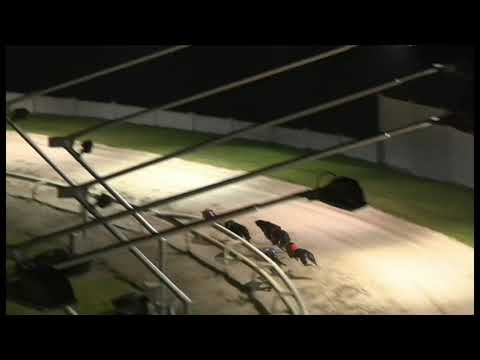 Trade Fudge - Coral Winter Derby - Heat 4