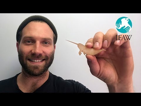 Jai Courtney - One Act for All