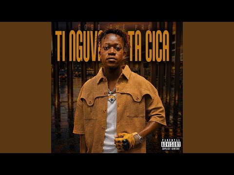 Swilo swa cica (feat. MetroBeatz RSA)