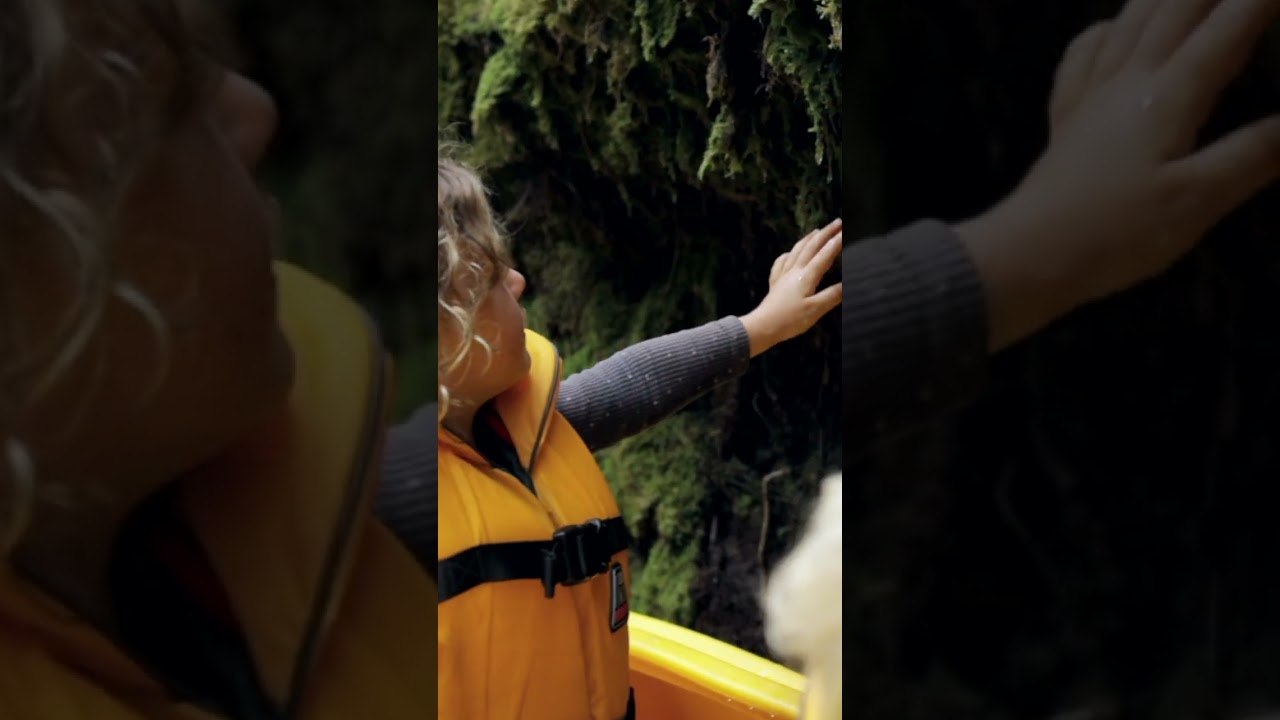 YouTube Short thumbnail