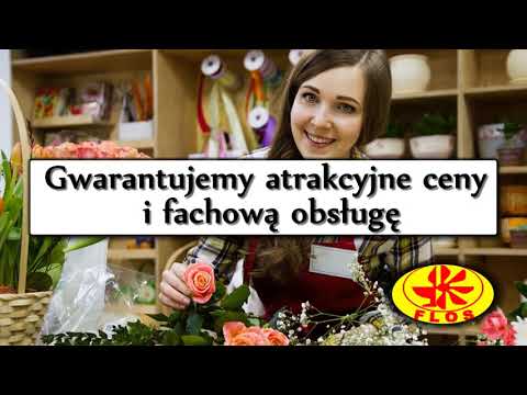 download lagu mp3 mp4 Wstki Hurtownia, download lagu Wstki Hurtownia gratis, unduh video klip Wstki Hurtownia
