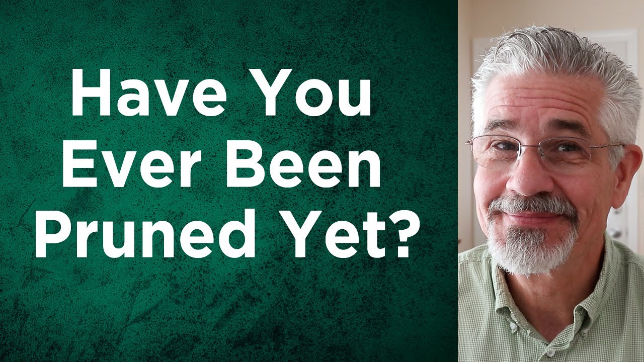 Have You Ever Been Pruned Yet? | Little Lessons With David Servant
