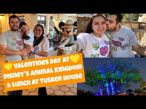 Valentine's Day at Disney's Animal Kingdom l Character Lunch at Tusker House
