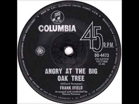 Classic Aussie Singles - Angry At The Big Oak Tree