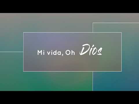 Mi Vida - North Point