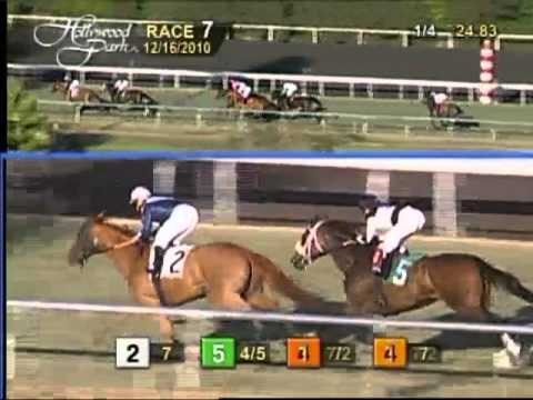Another Hollywood Park Turf Win For Talktoomuch