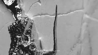 Cover art for When The Devil Come