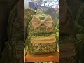 Tinker Bell Green Disney Spirit Jersey Ears More Shorts Trendingshorts Viralshort