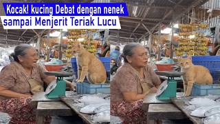 Download lagu HILARIOUS! Grumpy cat argues with Grandma—screaming and scolding her! Funny cat compilation. mp3 Download lagu HILARIOUS! Grumpy cat argues with Grandma—screaming and scolding her! Funny cat compilation. mp3