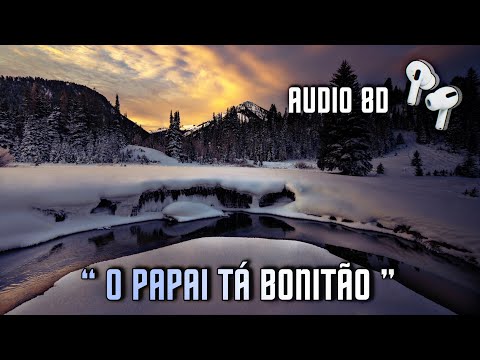(AUDIO 8D) O Papai Ta Bonitão, Nois Tamo Naquele Pique [USE FONES]