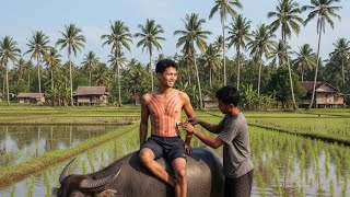 Download lagu Kerokan di Sawah  mp3