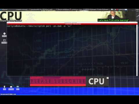 Running Perl on command line