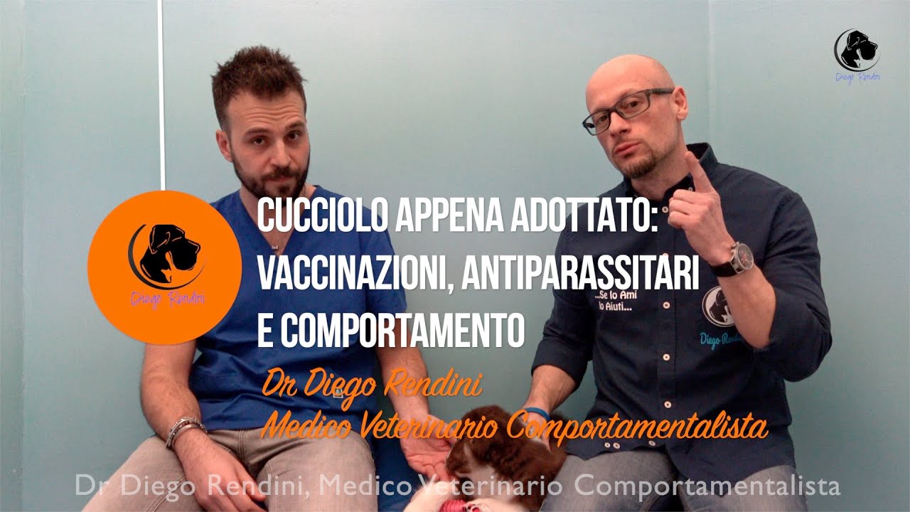 Cucciolo appena adottato: vaccinazioni, antiparassitari e comportamento