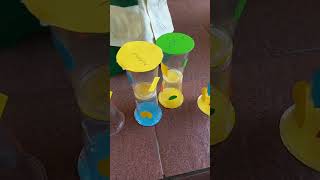 Download lagu membuat tifa alat musik papua #shorts mp3