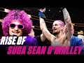 Sean O'Malley's Rise to UFC Champion