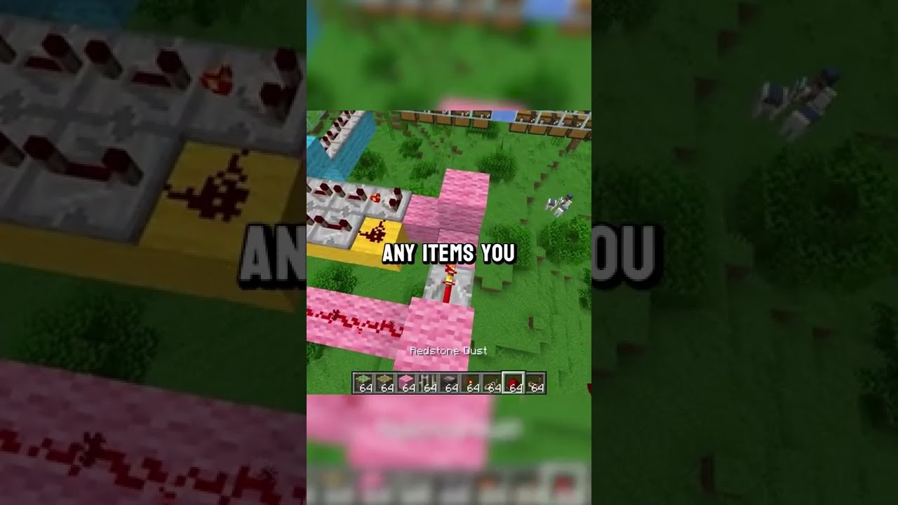 Automatic Item Sorter Using Allay