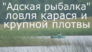 Ловля на хлеб крупной плотвы