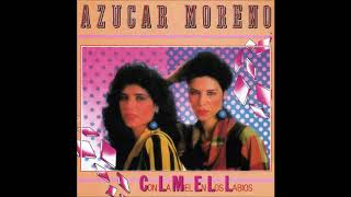 El Girasol (Dime Si Me Quieres) Lyrics English Translation