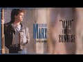 Richard Marx Wait For The Sunrise Official Visualizer