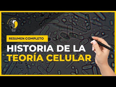 Historia de la Teoría Celular | Resumen 😉