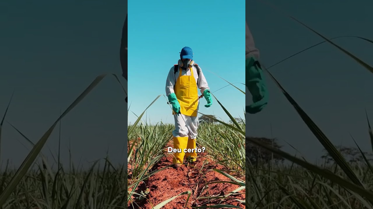 Você sabe que a catação manual não atende mais às necessidades do campo… 👀