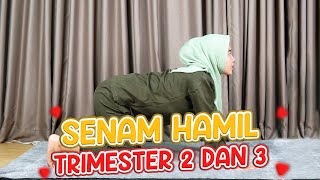 Download lagu Senam Hamil Trimester 2 dan 3 || Bidan Novia, Amd, Keb - Medikacare mp3