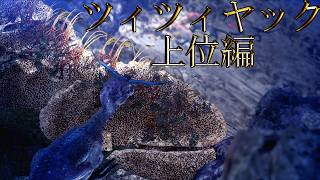 【切り抜き】限界までやり続けた後のMONSTER HUNTER WORLD：ICEBORNE ツィツィヤック 上位編