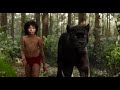 Bagheera Takes Mowgli To The Man Village