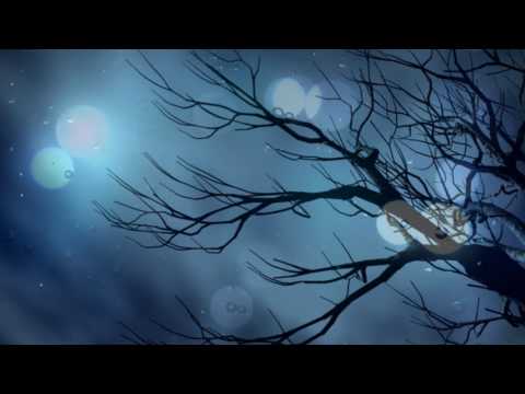 Instrumental Music and Khong Loi Nhac