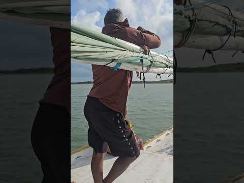 SEGUINDO EM DIREÇÃO A ILHA DOS LENÇOES  RESERVA EXTRATIVISTA DE CURURUPU-MARANHÃO.